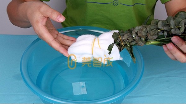 鮮花保水棉的使用方法