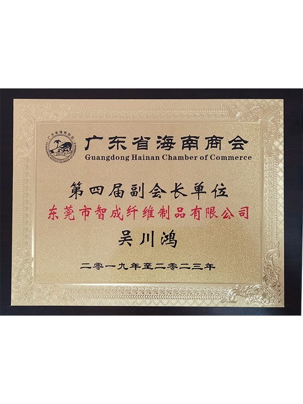 智成總經(jīng)理廣東省海南商會(huì)第四屆副會(huì)長單位